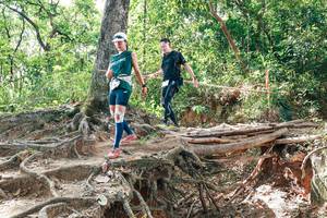 BIB: 
                            <button type="button" onclick="openModal(27719036)" class="btn btn-primary btn-sm float-right btn-popup" data-toggle="modal" data-target=".modal-high-quality">
                        <i class="fas fa-shopping-cart"></i> Add to Cart
                    </button>
                                            <button type="button" onclick="isThisMe(27719036, true)" class="btn btn-success btn-sm float-right btn-popup btn-isme hidden" data-toggle="tooltip" data-placement="bottom" title="นี่คือรูปของคุณใช่ไหม คลิกที่นี่เพื่อเอาเข้าอัลบั้ม">
                        <i class="fas fa-plus"></i> Add to album
                    </button>
                    <button type="button" onclick="isThisMe(27719036, false)" class="btn btn-warning btn-sm float-right btn-popup btn-isnotme hidden">
                        <i class="fas fa-ban"></i> Remove from album
                    </button>